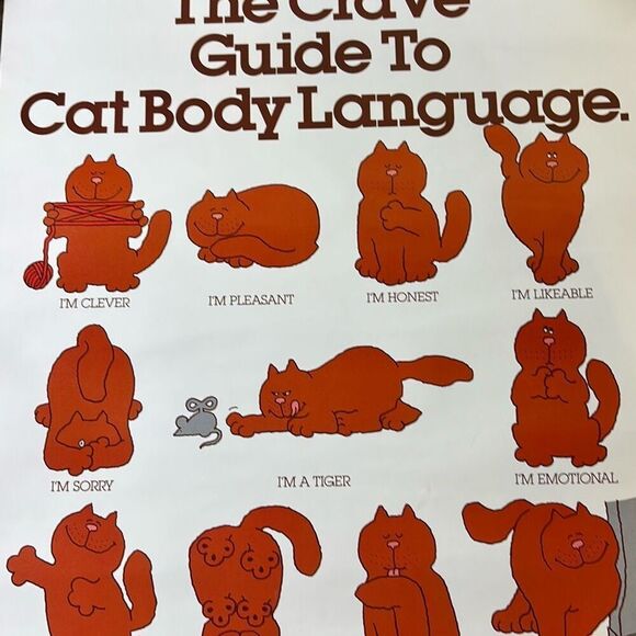 Vintage original CRAVE Cat Food full size poster advertising 1982 Kal Kan Guide - Picture 2 of 6